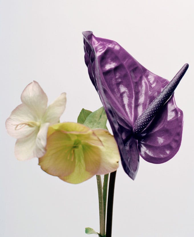 categorie-home-banner--image-2