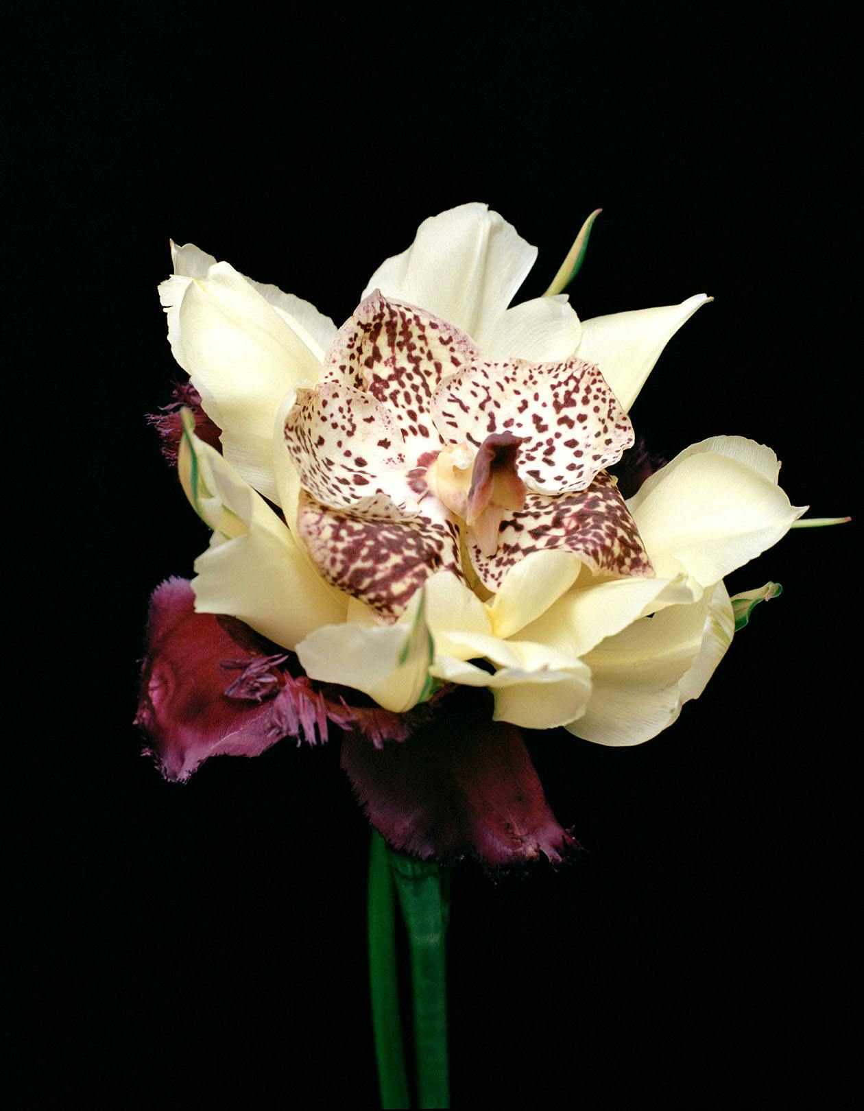 categorie-home-banner--image-2