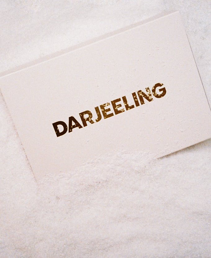 categorie-home-banner--image-2